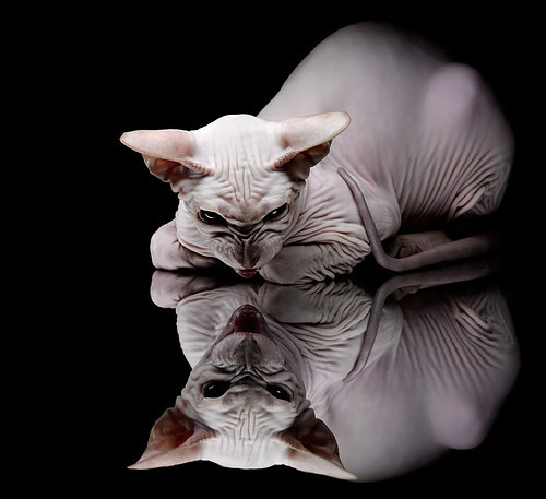 青少年体育赛事推广策略，青少年体育竞赛各项管理规定